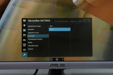 ASUS Designo Curve MX34VQ