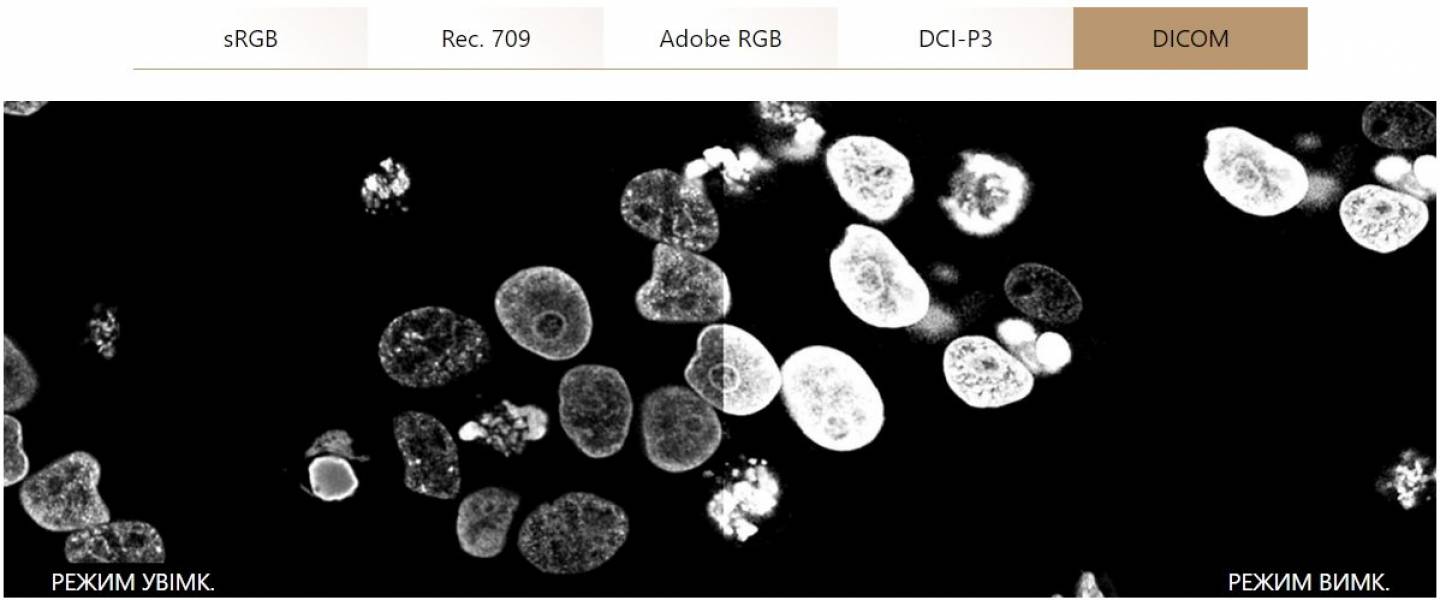 ASUS ProArt Display PA27UCGE-8-1