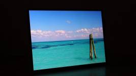ASUS ZenScreen OLED MQ16FC-8