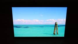 ASUS ZenScreen OLED MQ16FC-8