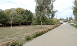 HTC Desire 526G dual sim cam