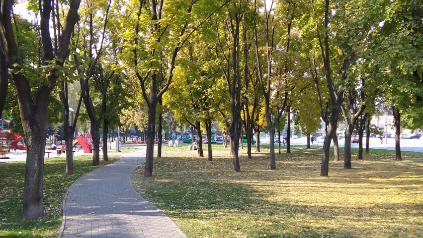 LG G4 Stylus cam