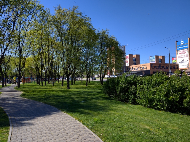 LG Nexus 5X 3