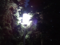 Neffos C5 Max cam-1