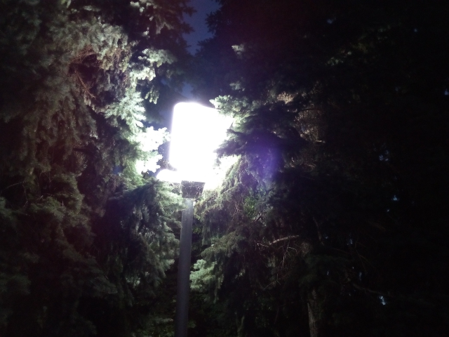 Neffos C5 Max cam-1
