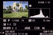 Nikon 1 V3 soft 1