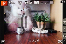 Panasonic LUMIX DMC-FZ300 2