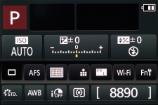 Panasonic LUMIX DMC-FZ300 2