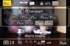 Panasonic LUMIX DMC-FZ300 2