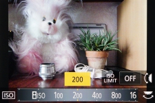 Panasonic LUMIX DMC-FZ300 2
