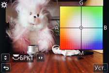 Panasonic LUMIX DMC-FZ300 2