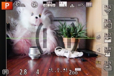 Panasonic LUMIX DMC-FZ300 2