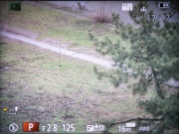 Panasonic LUMIX DMC-FZ300 2