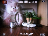 Panasonic LUMIX DMC-FZ300 2