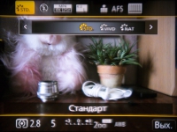 Panasonic LUMIX DMC-FZ300 2
