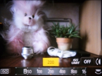 Panasonic LUMIX DMC-FZ300 2
