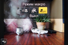 Panasonic LUMIX DMC-FZ300 2