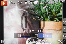 Panasonic LUMIX DMC-FZ300 2