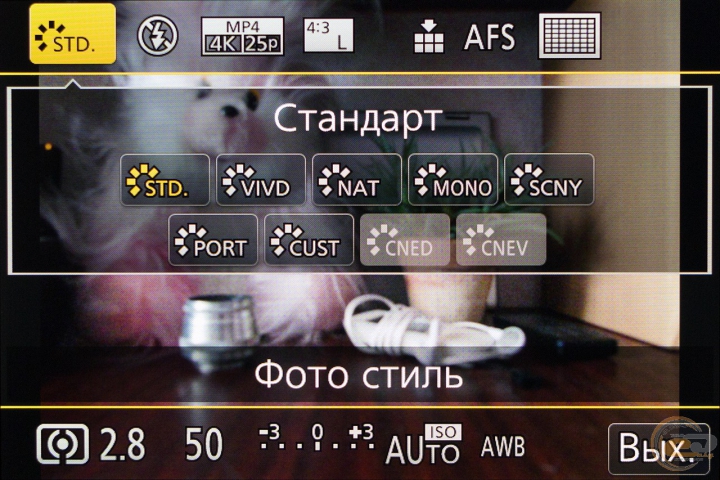 Panasonic LUMIX DMC-FZ300 2