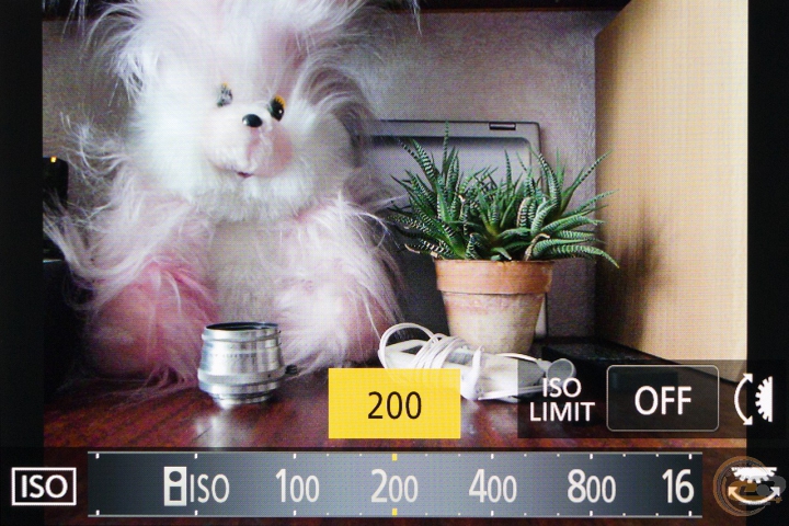 Panasonic LUMIX DMC-FZ300 2