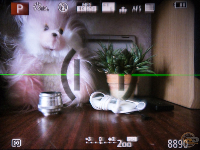 Panasonic LUMIX DMC-FZ300 2