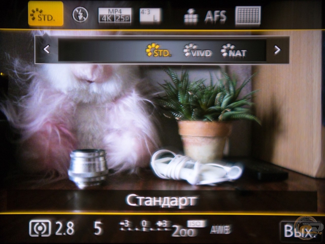 Panasonic LUMIX DMC-FZ300 2