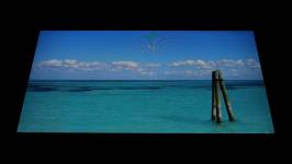 Prologix Optima PLC24TD-8