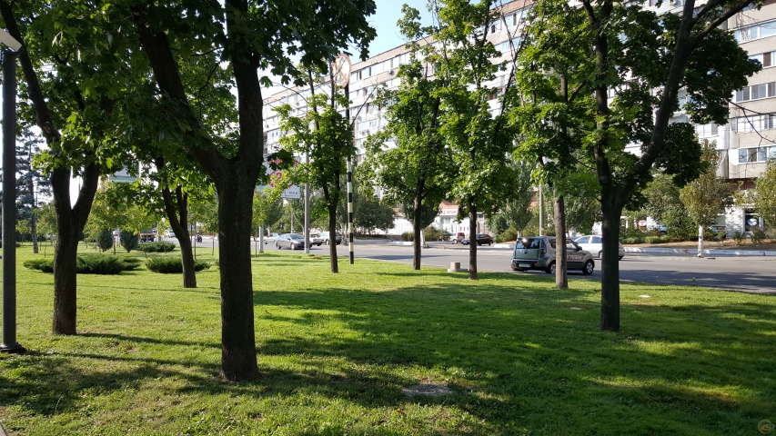 Samsung Galaxy S6 cam
