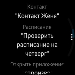 Samsung Gear S2 classic 7
