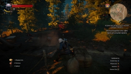 The Witcher 3: Wild Hunt