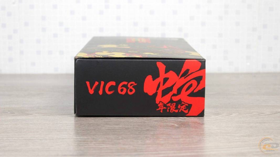 Thunderobot VIC68-1